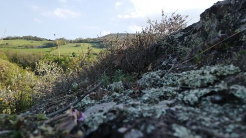 Saint-Floret [30-04-2022](0685).jpg